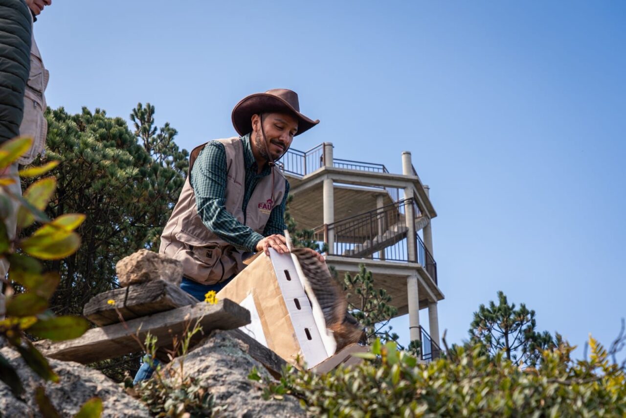 2b05245d-b561-4e87-96f4-af4f07b4028b