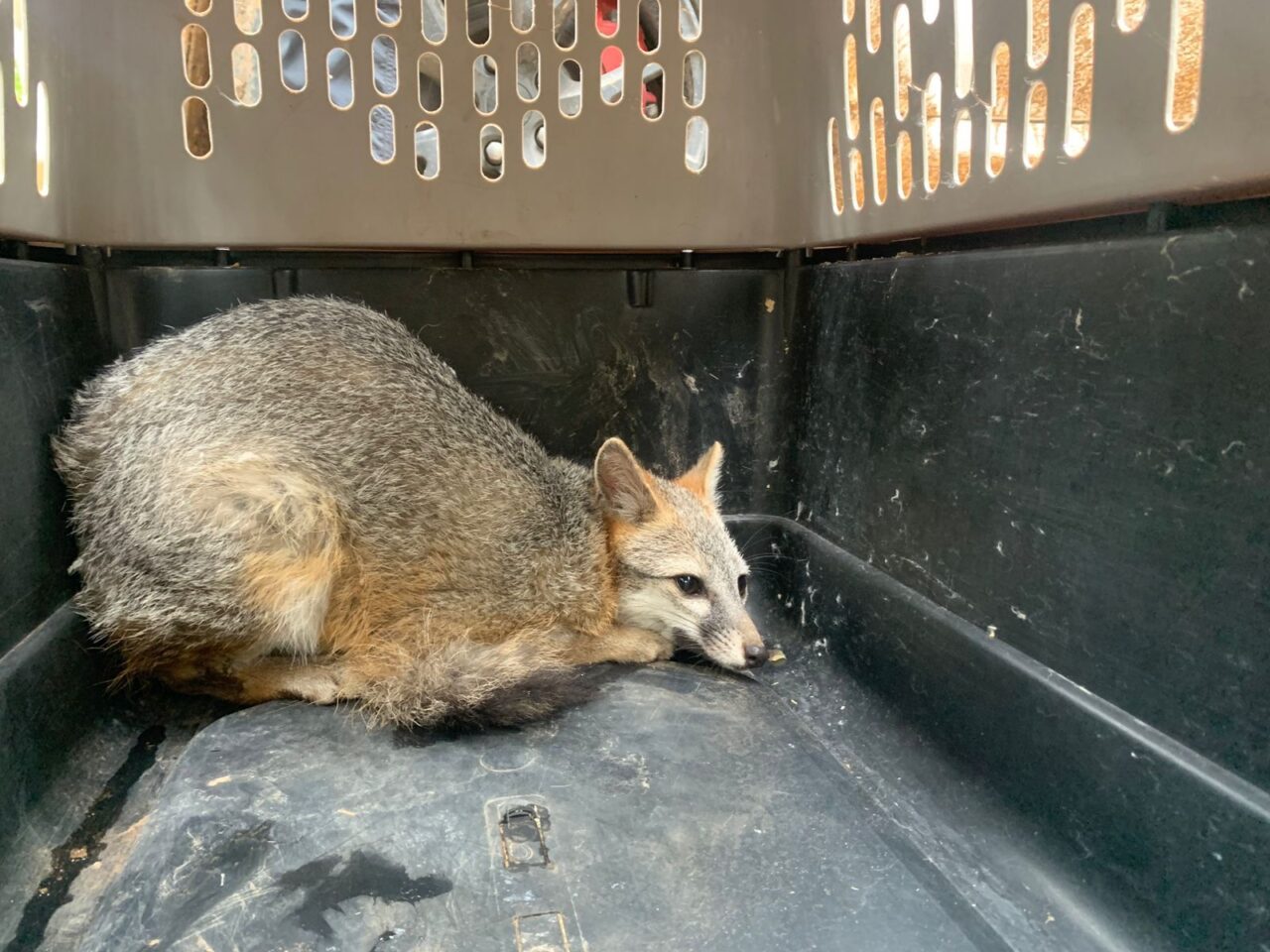 5d4e91df-5524-4cb6-bc1d-e280226c49cb