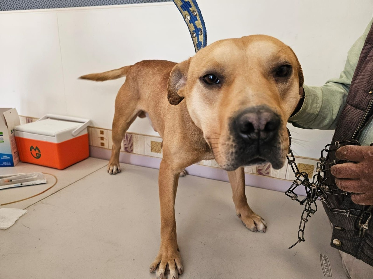 2bbb6482-ca71-4e07-9d40-d4f8ce0731db