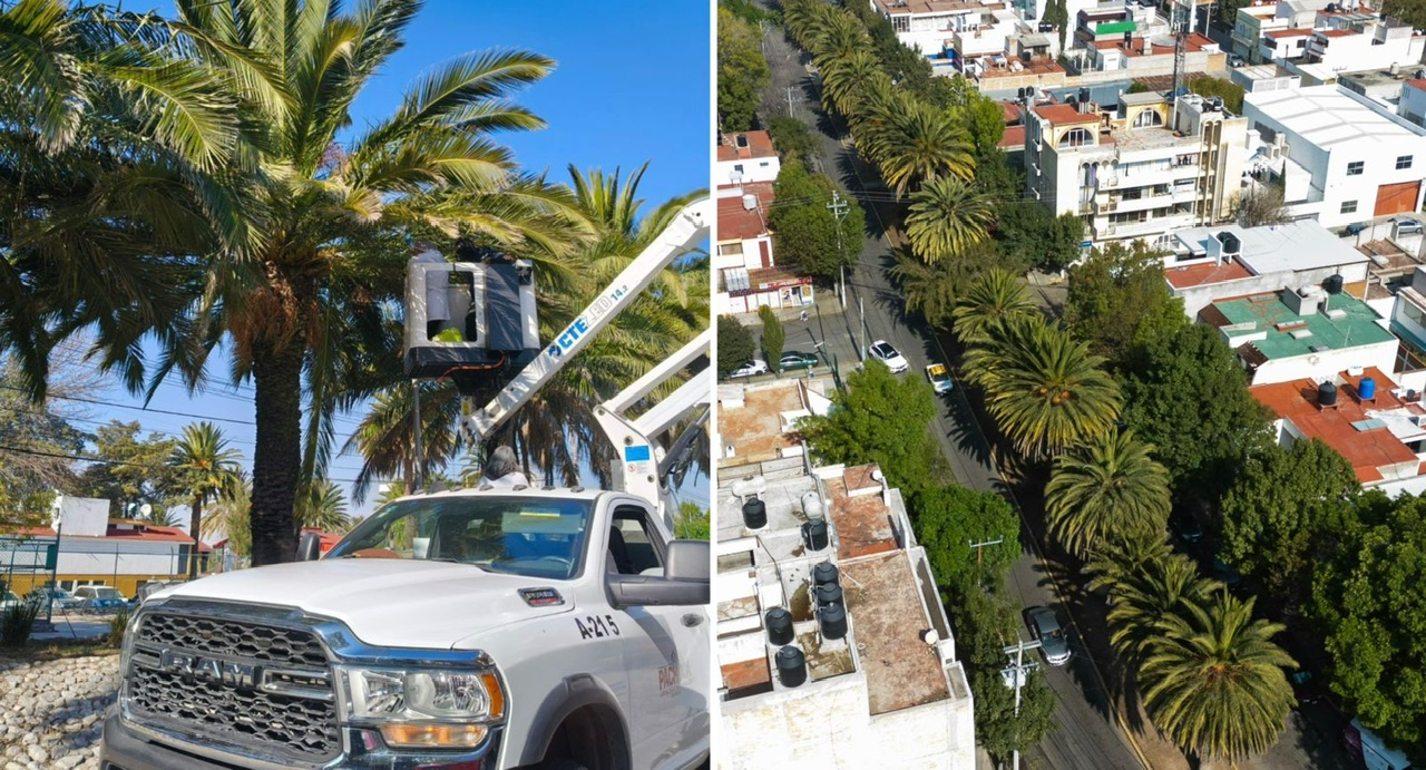 fdfb934b-f11b-4b42-bbdc-080202e68dff