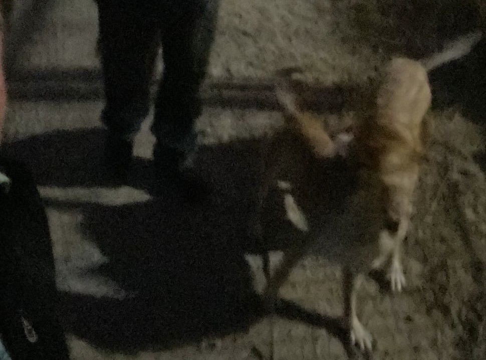 80334ed9-4331-4da6-9bcb-1bf3086a48b0