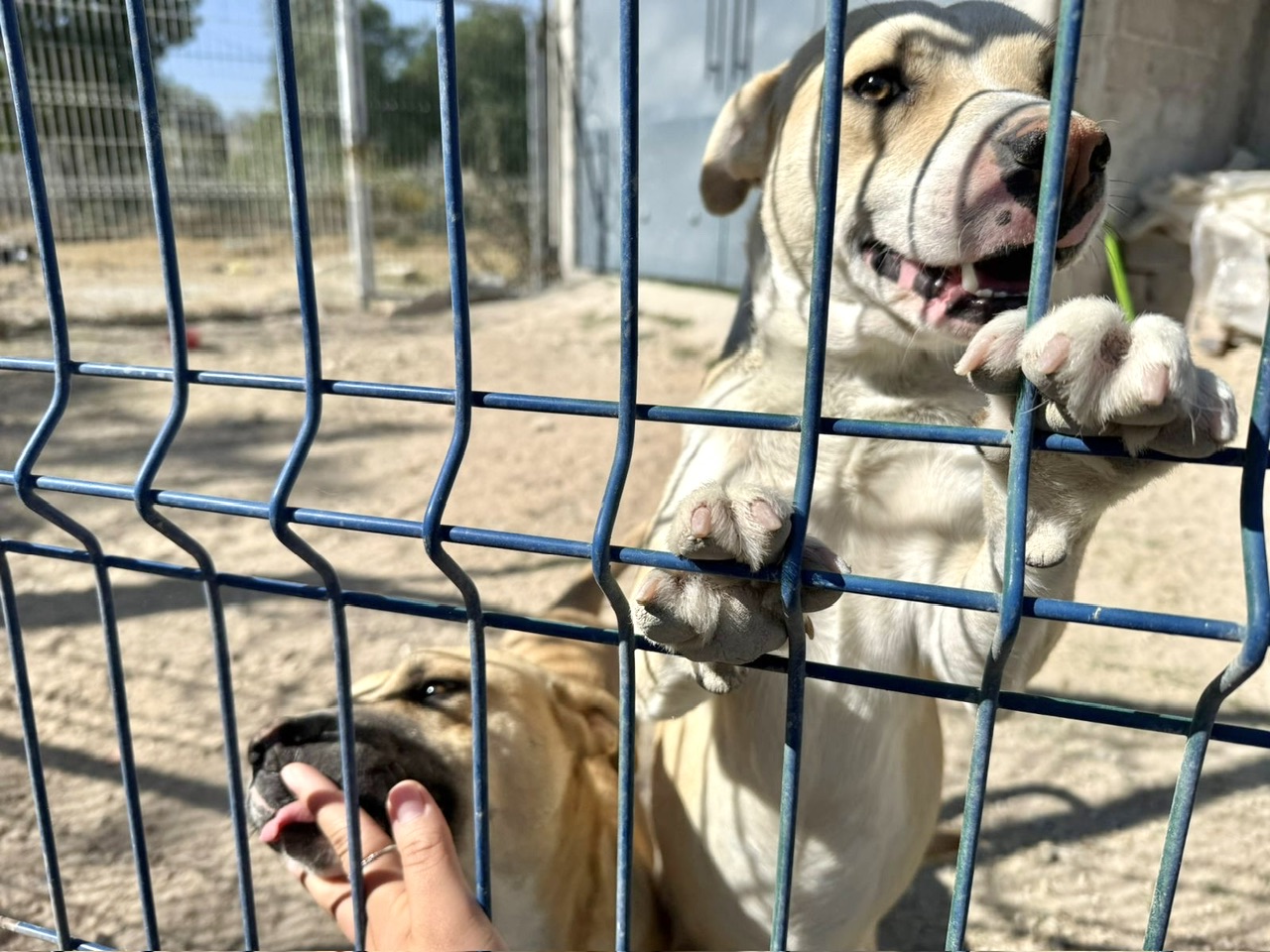 c601f493-4468-4dc5-aa56-622138116ce5