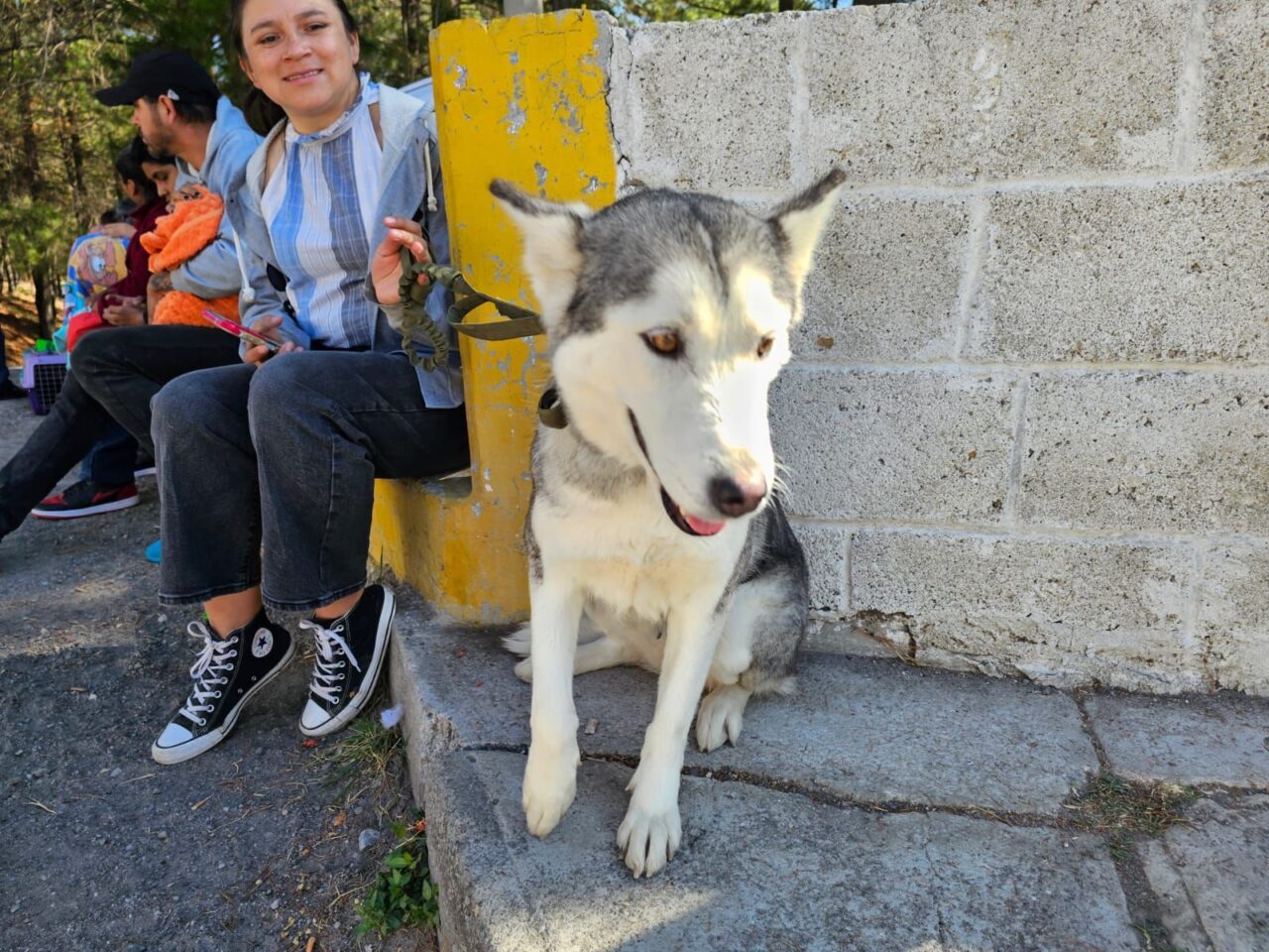 eb3bddda-945e-4cc8-8b02-ca01a5397888