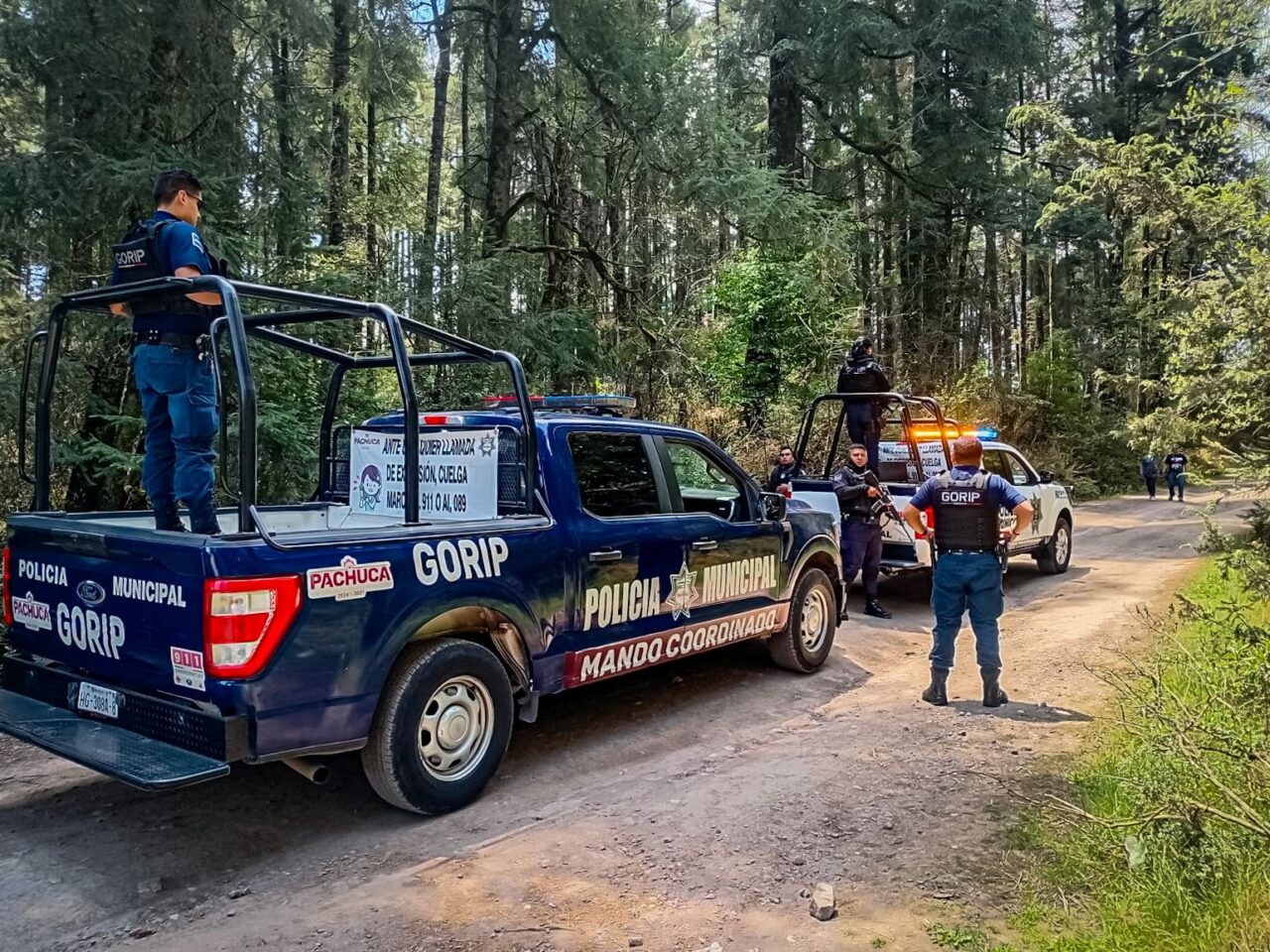 74862ecf-5888-4623-88a9-a4b52cb6ef21