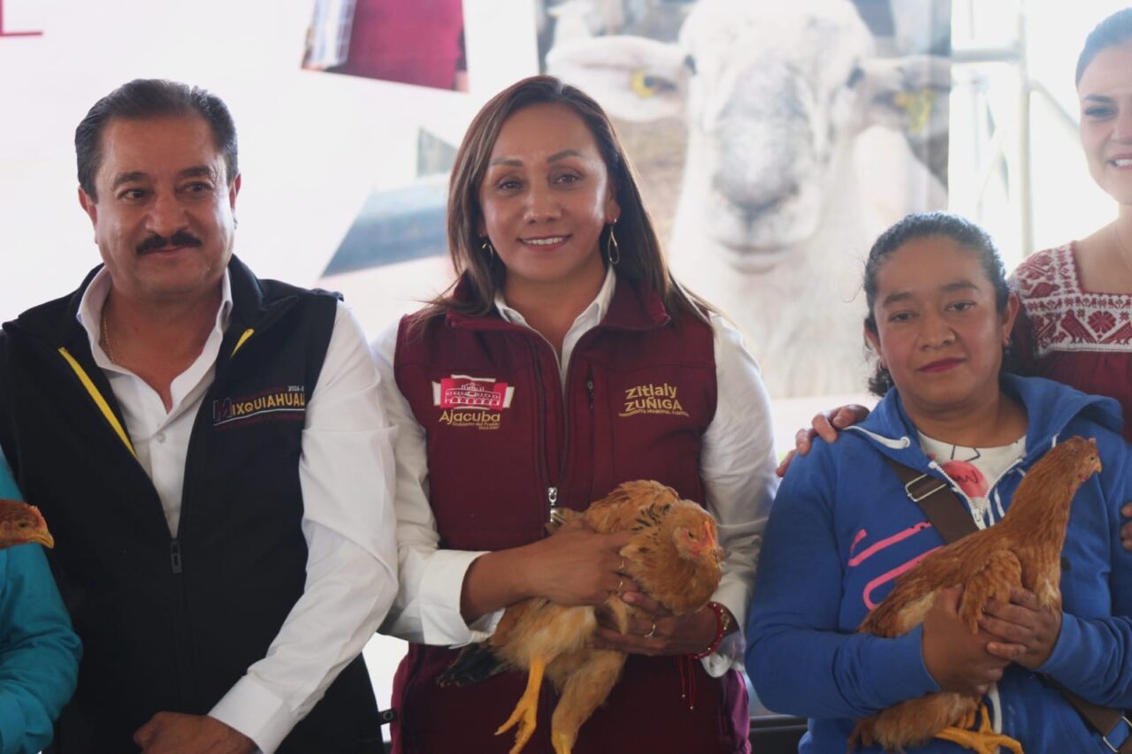 ebe7e515-36f2-4cec-ab71-8936c8c0ac6f