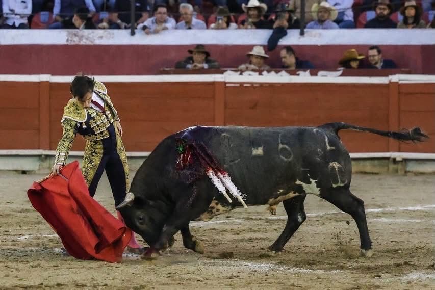 36660acf-b3a6-4f67-8732-e091ea0acd24