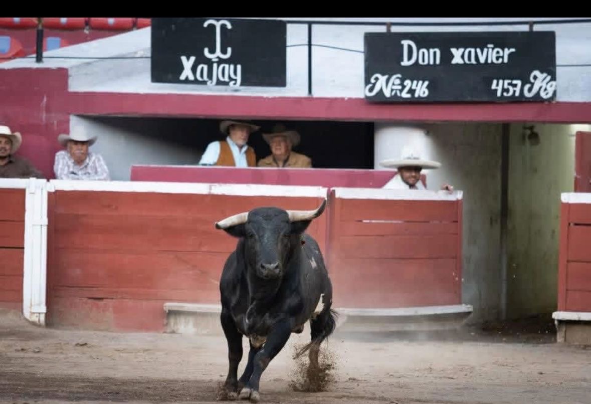 70942a4e-1653-4958-8b98-190c15c5cdd9