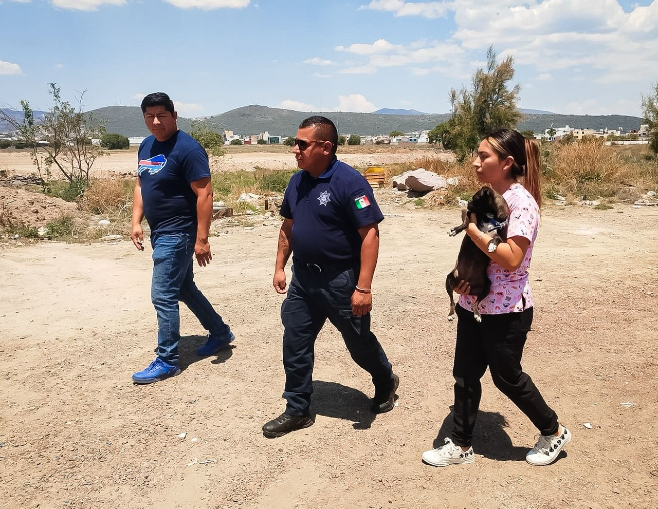 88fbaad0-e5e2-407d-93c9-490626ea4c74